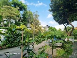 Phoenix Heights (D23), Detached #462832081